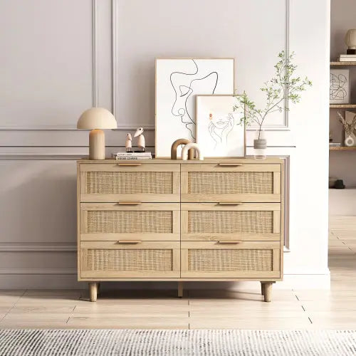 Bellemave 6 Drawers Rattan Storage Cabinet Rattan Drawer Bellemave