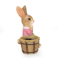 Bellemave® Rabbit Planter