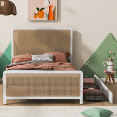 Bellemave® Metal Platform Bed with 2 Drawers, Metal Hollow Headboard and Footboard