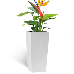 Bellemave® Large Flower Pot 30" Tall, Self - Watering Planter with Water Level Monitor, Drainage & Inner Tray - Bellemave