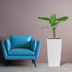Bellemave® Large Flower Pot 30" Tall, Self - Watering Planter with Water Level Monitor, Drainage & Inner Tray - Bellemave