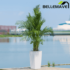 Bellemave® Large Flower Pot 30" Tall, Self - Watering Planter with Water Level Monitor, Drainage & Inner Tray - Bellemave