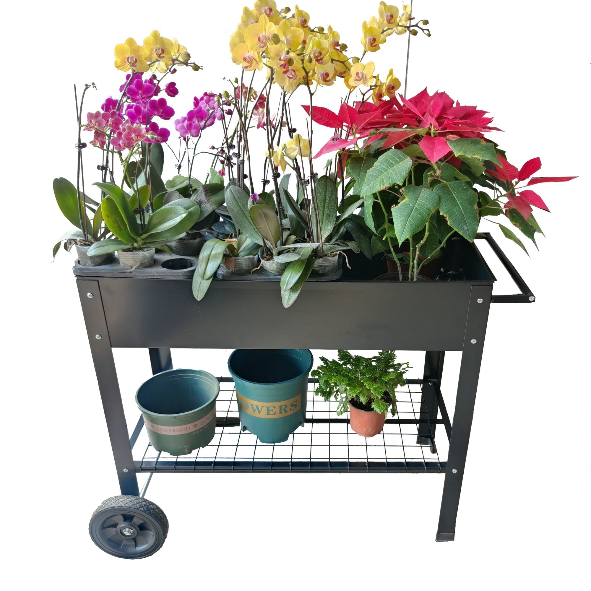 Bellemave® Mobile Metal Raised Garden Bed Cart with Legs, Elevated Tall Planter Box with Wheels for Outdoor Indoors House Patio Backyard,Black - Bellemave
