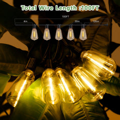Bellemave® Solar String Lights Outdoor Waterproof, 60/100FT LED Bulbs with Remote & USB, Dimmable Patio Lights - Bellemave