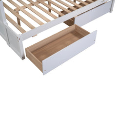 Bellemave® Twin over Full Bunk Bed with 2 Drawers - Bellemave